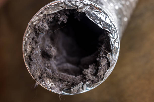 Professional Airduct Cleaning in Forestbrook, SC